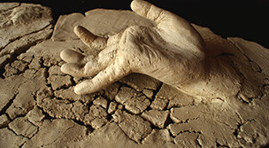 Hands Sculpture 48