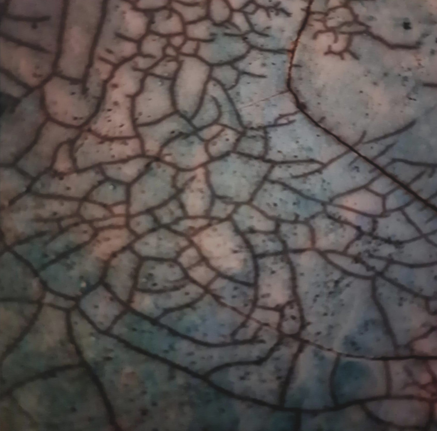 Sculpture On Canvas 36