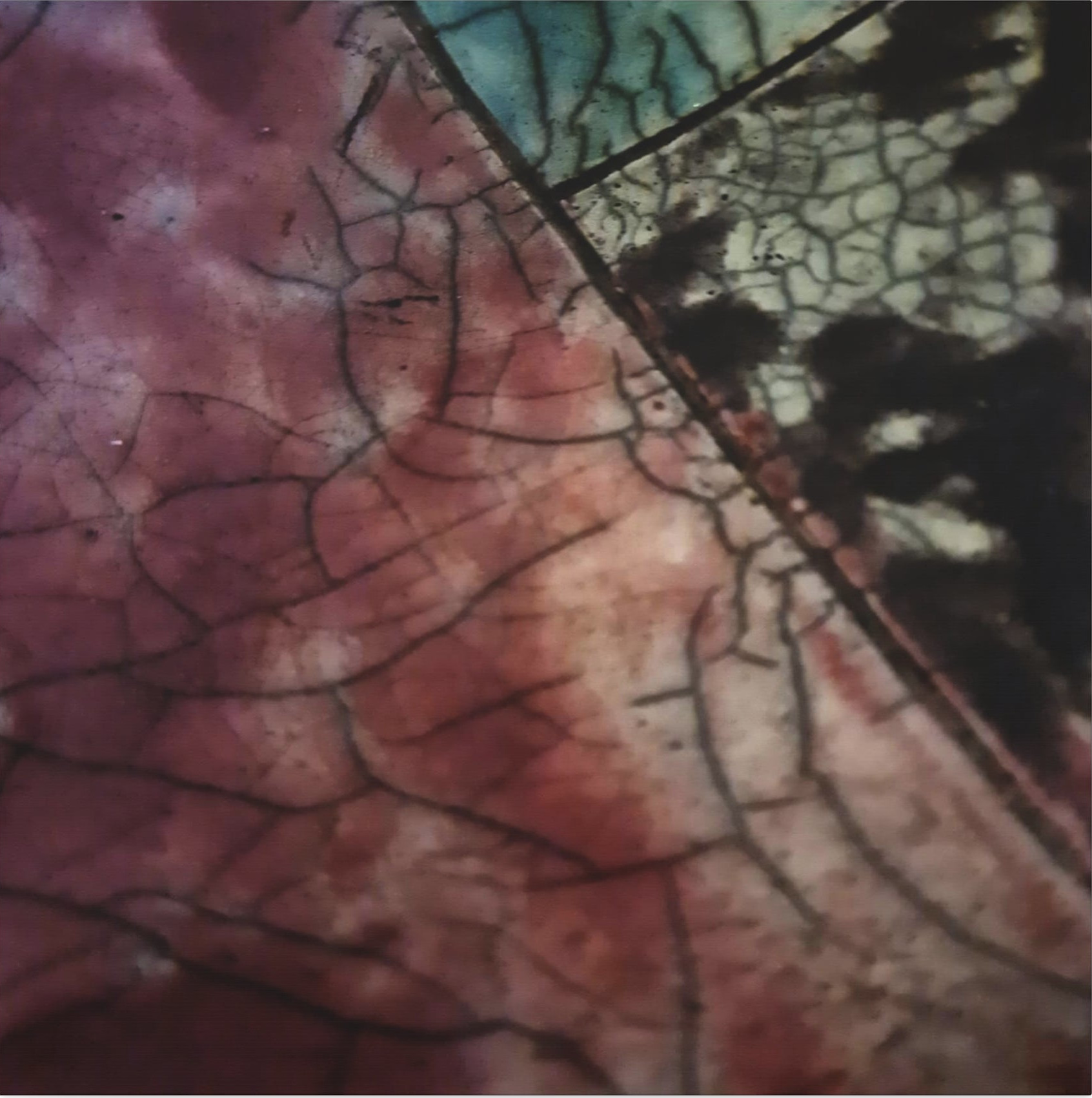Sculpture On Canvas 39